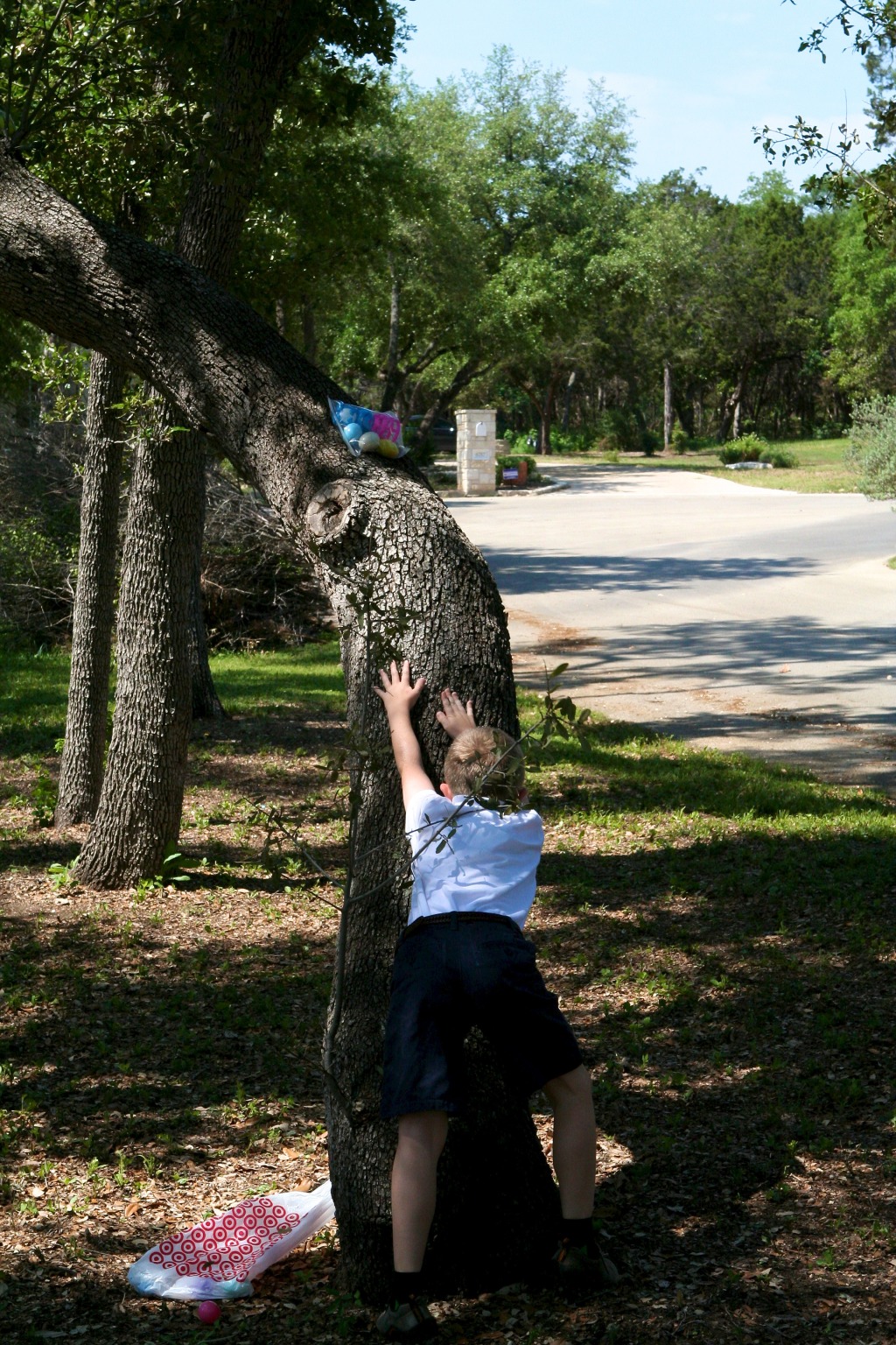 2012/04(April)/Easter/1024x768_2012-04-08-24-Egg Hunt.jpg